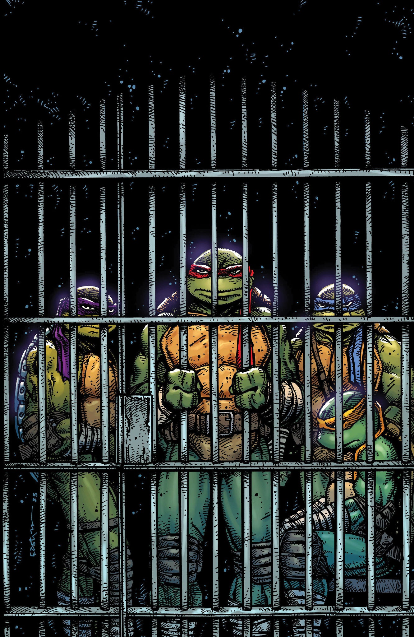 Teenage Mutant Ninja Turtles #11 Eastman B&W Variant