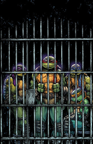 Teenage Mutant Ninja Turtles #11 Eastman B&W Variant