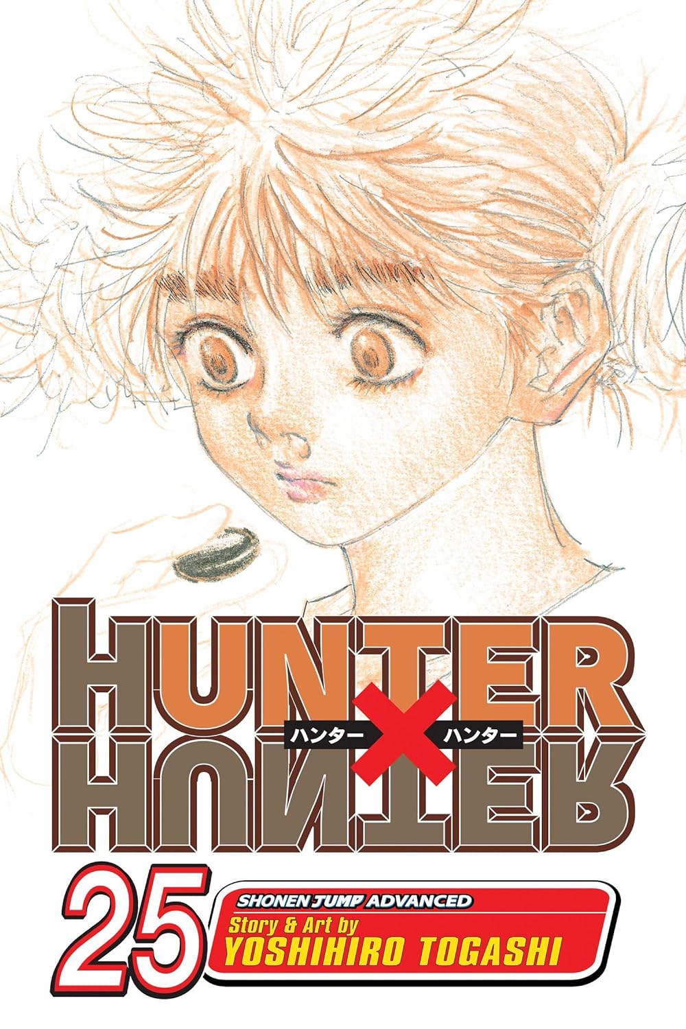 Hunter X Hunter Volume 25