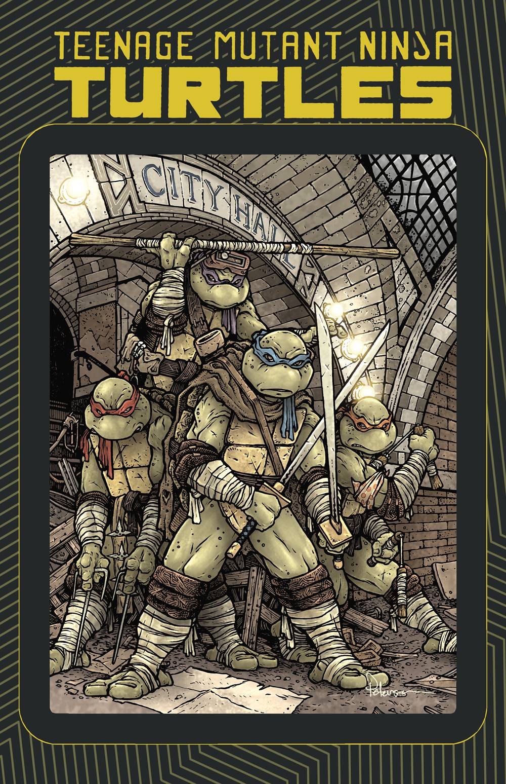Teenage Mutant Ninja Turtles: Macro-series