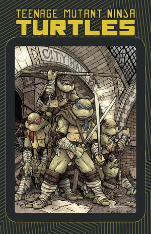 Teenage Mutant Ninja Turtles: Macro-series
