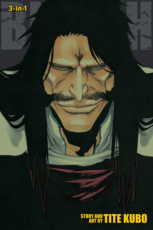 Bleach 3-in-1 Edition Volume 19