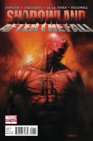 Shadowland: After The Fall #1
