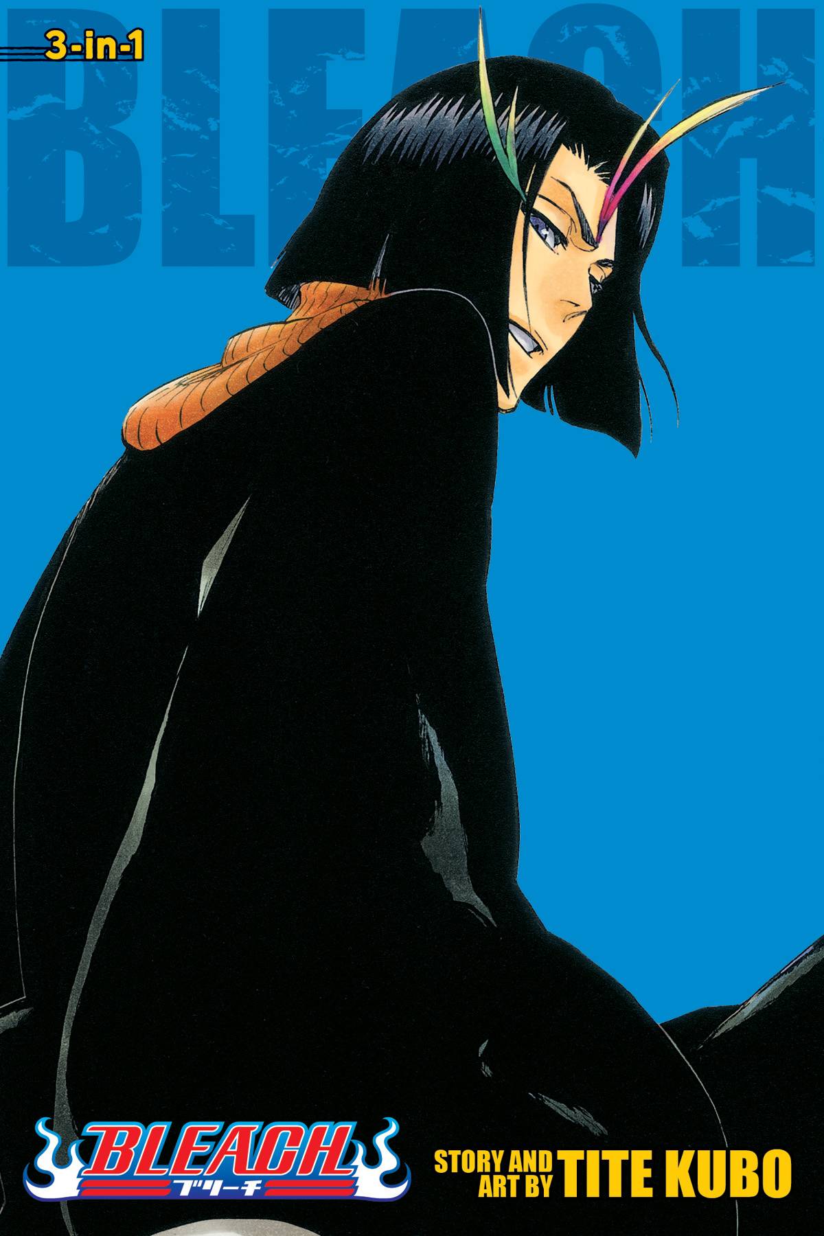 Bleach 3-in-1 Edition Volume 13