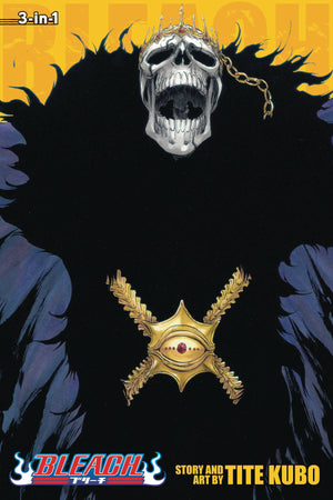 Bleach 3-in-1 Edition Volume 15