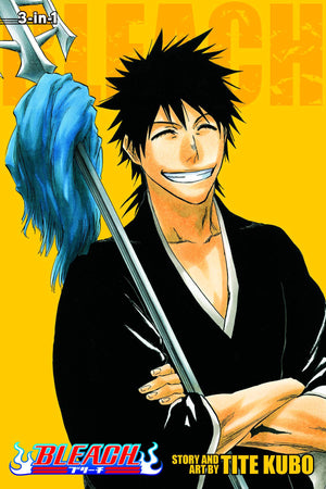 Bleach 3-in-1 Edition Volume 10
