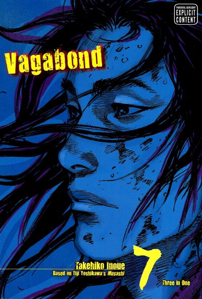 Vagabond Vizbig Edition Volume 07