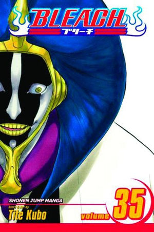 Bleach Volume 35