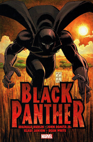 Black Panther: Who is Black Panther?