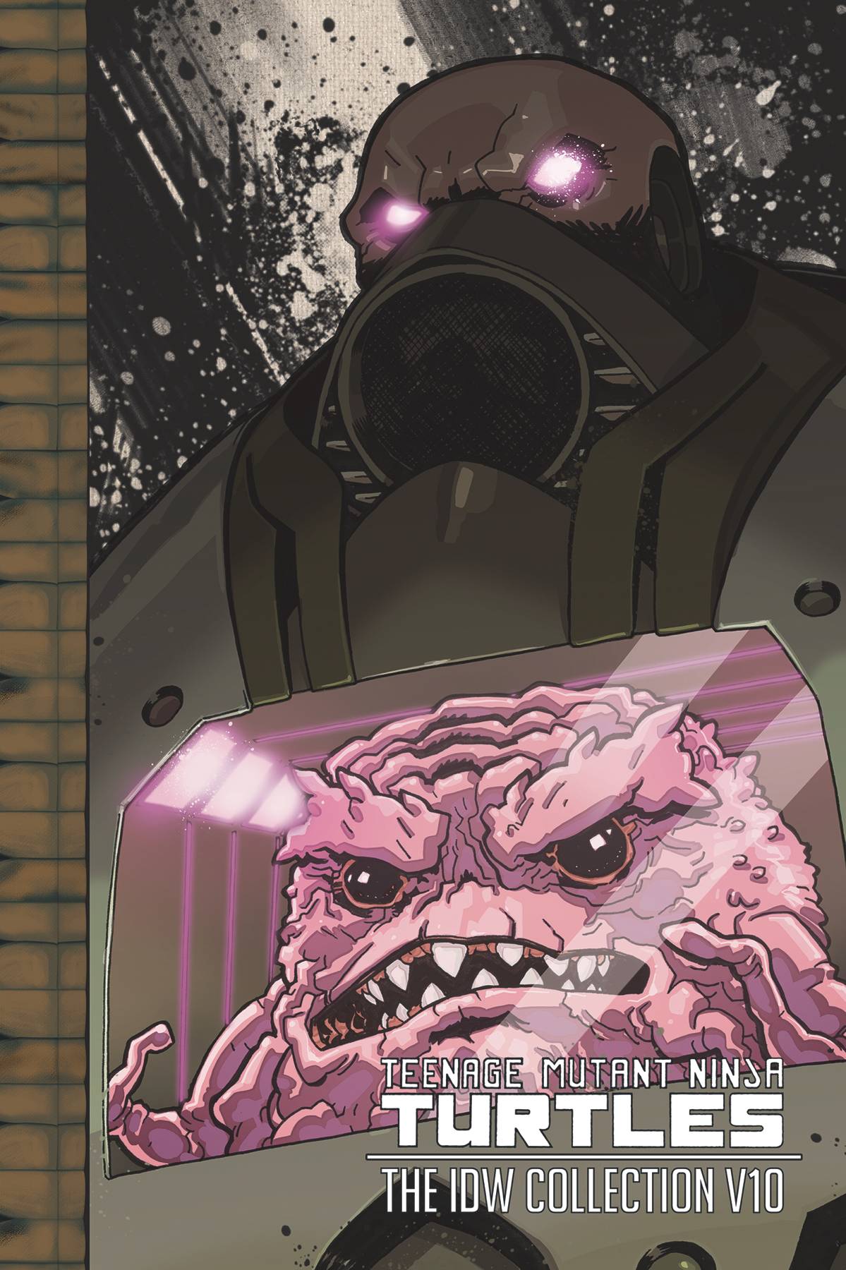 Teenage Mutant Ninja Turtles: The IDW Collection Volume 10 HC