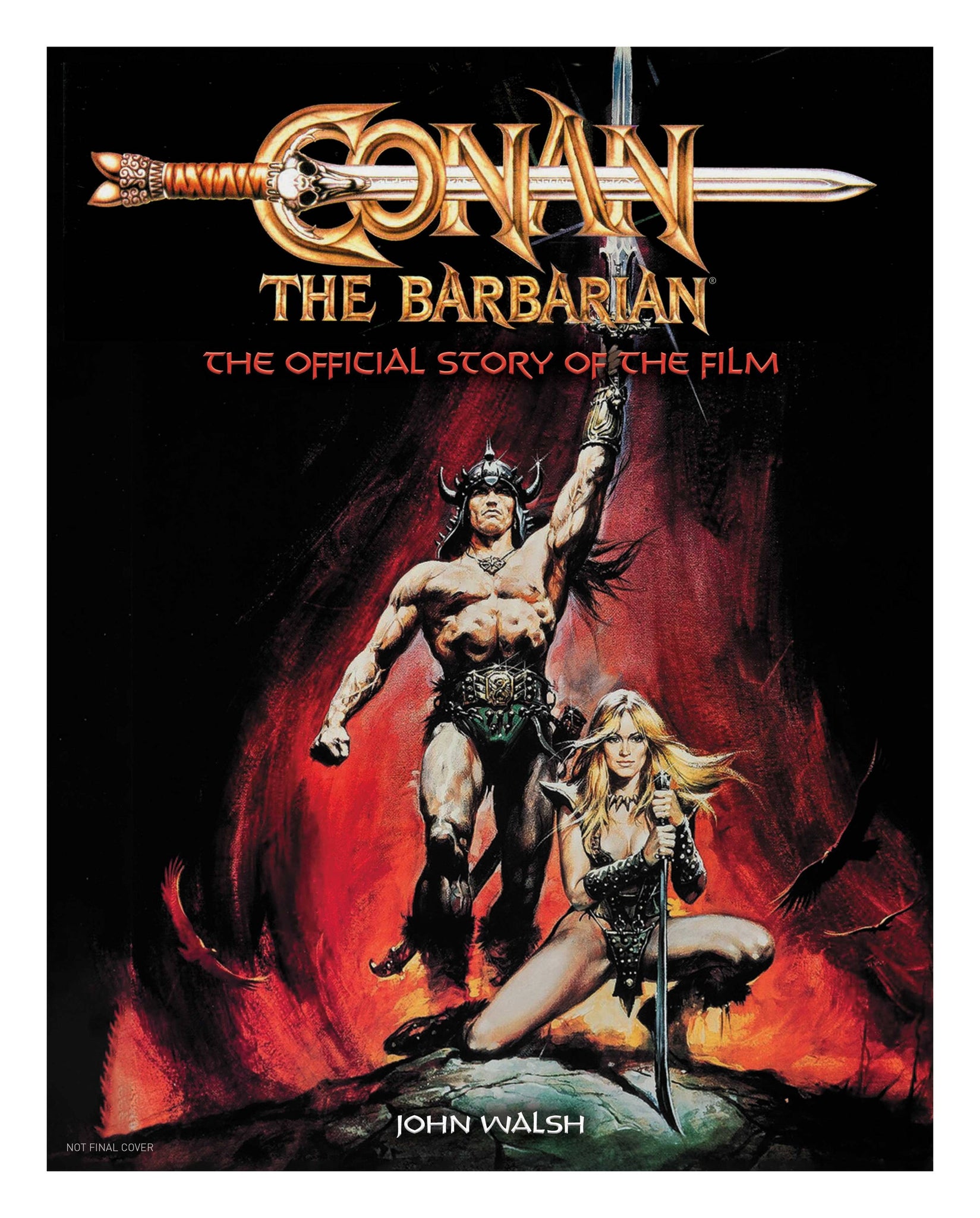 Conan Barbarian Official Story Of Film Hc