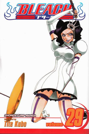 Bleach Volume 29