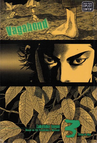 Vagabond Vizbig Edition Volume 03