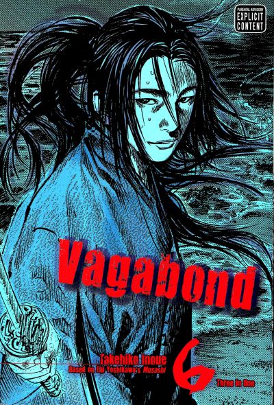 Vagabond Vizbig Edition Volume 06