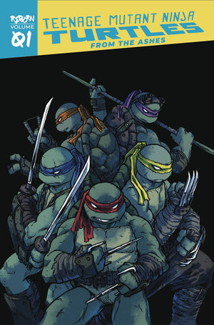 Teenage Mutant Ninja Turtles Reborn Volume 1: From the Ashes