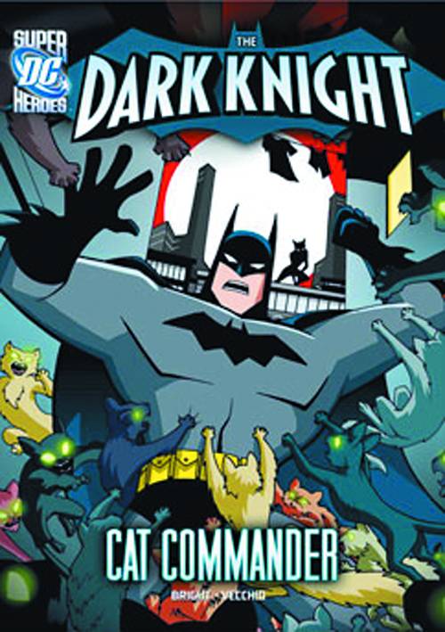 DC Super Heroes: Dark Knight - Cat Commander