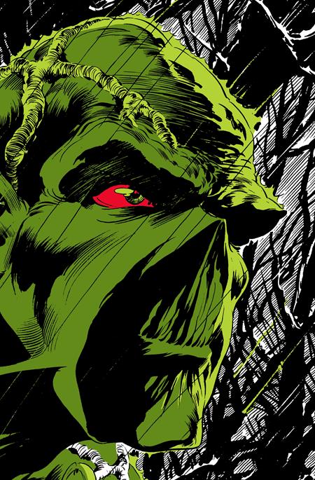Absolute Swamp Thing By Len Wein & Bernie Wrightson Hc