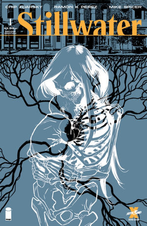 Stillwater (2020) #01 2nd Print