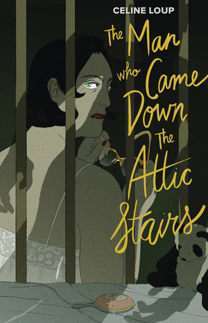 The Man Who Came Down the Attic Stairs HC